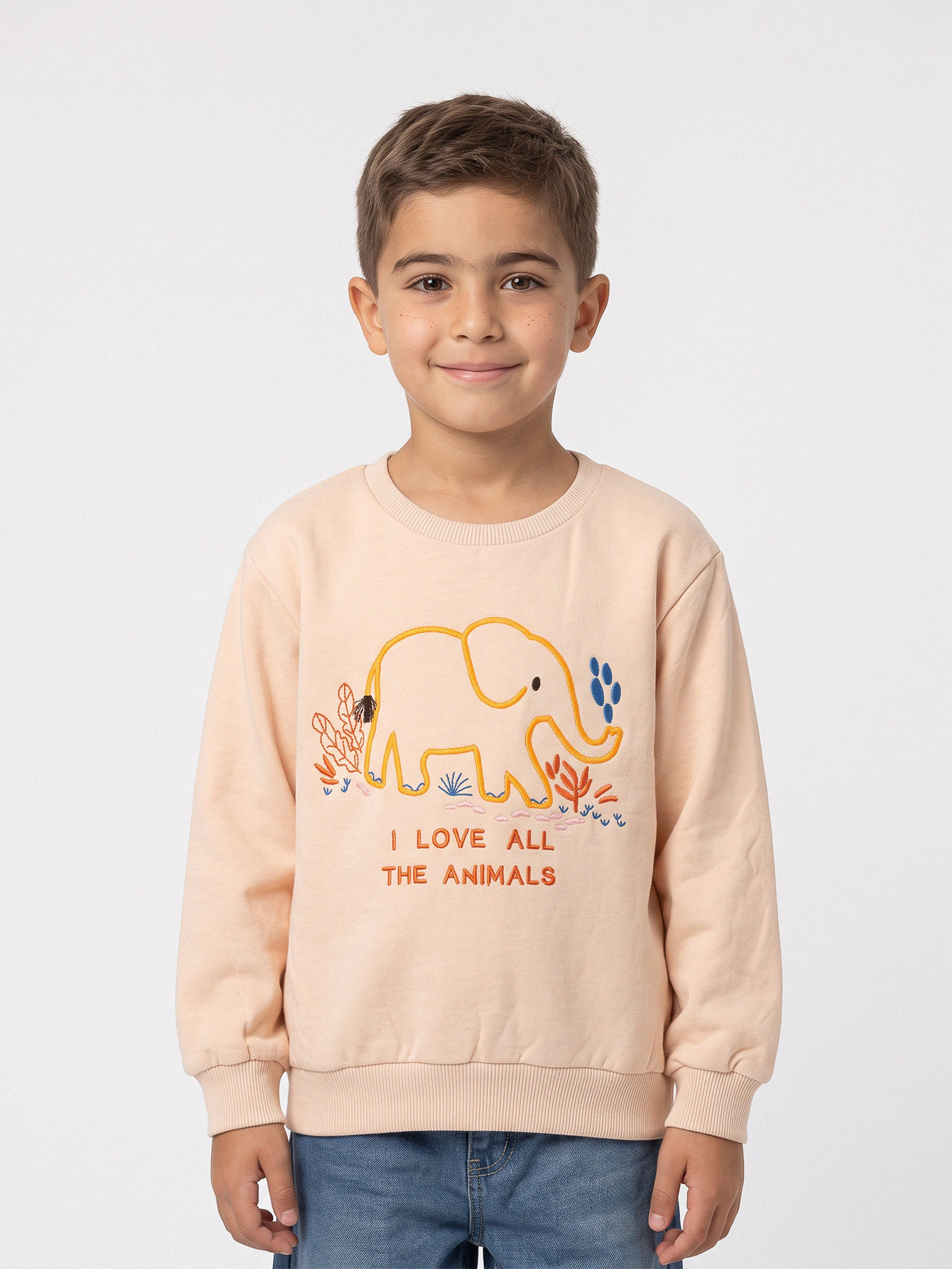 Sweatshirts Boys