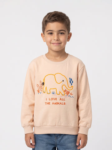 Sweatshirts Boys