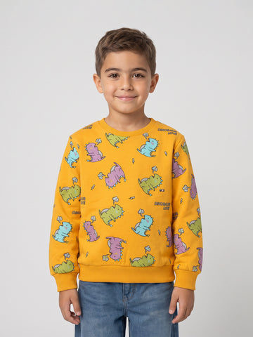 Sweatshirts Boys