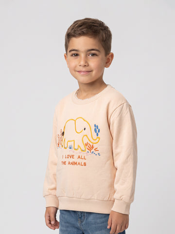 Sweatshirts Boys