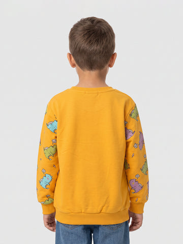 Sweatshirts Boys