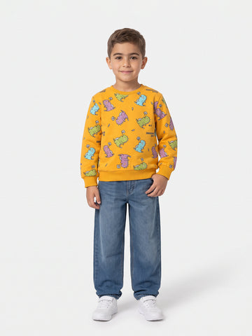Sweatshirts Boys
