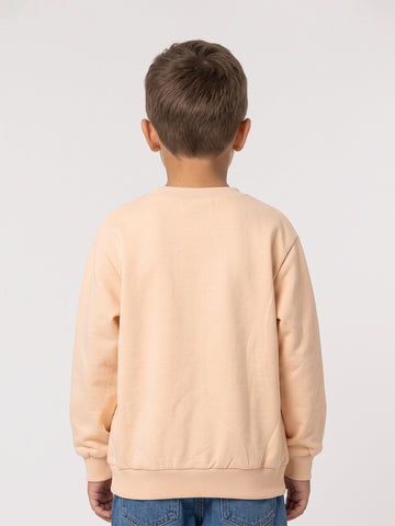 Sweatshirts Boys