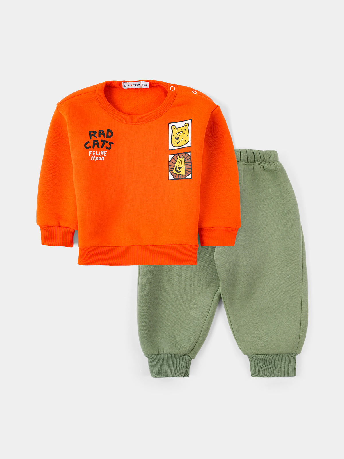 PJS26WLNP80309MN1