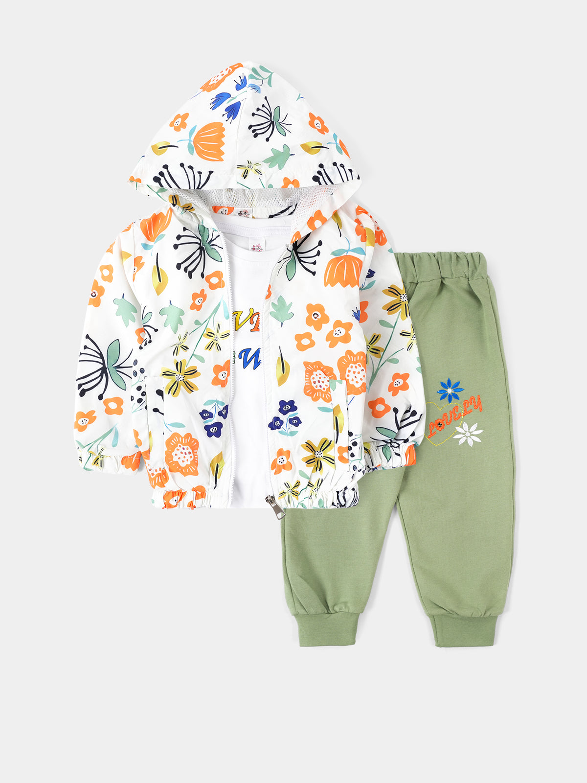 PJS25SDAE43369MO1