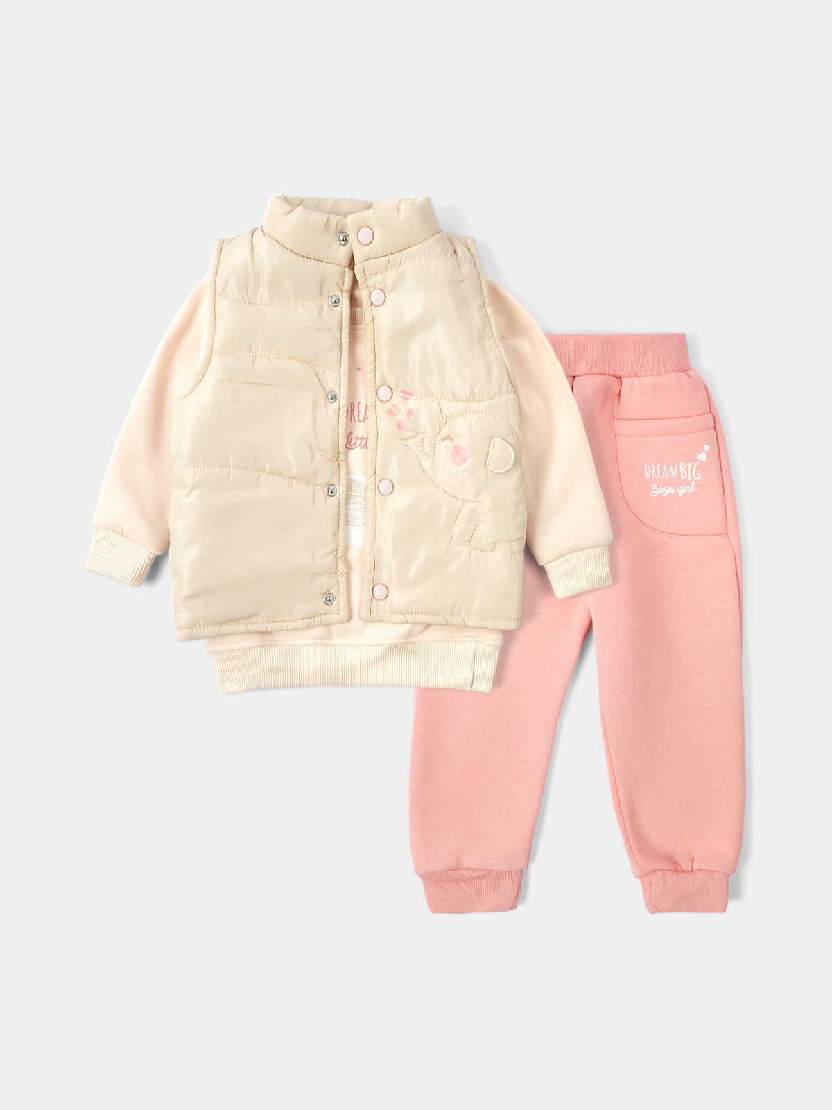 PJS25WDNP42771MO1