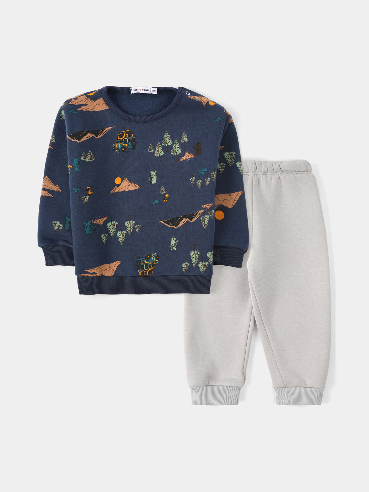 PJS26WLNN77317MN1