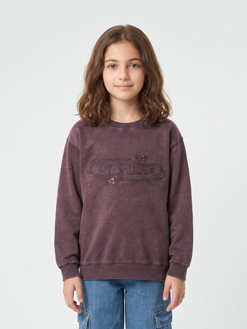 Sweatshirts embroidered