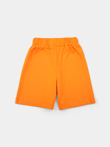 PJS25SSNP80029MN1