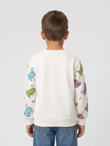 Sweatshirts Boys