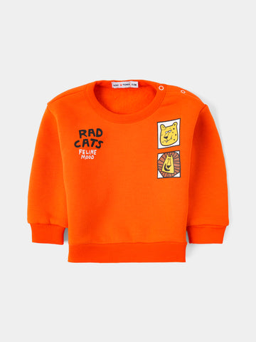 PJS26WLNP80309MN1