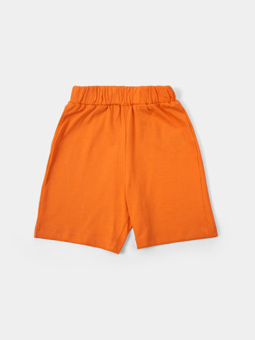 PJS25SSNP80026MN1