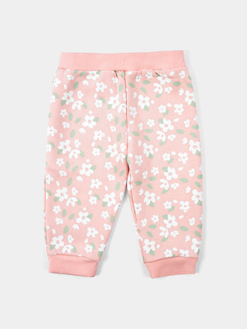PJS25WLNA43150MO1