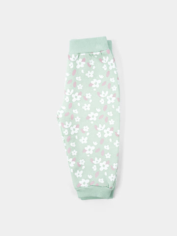 PJS25WLNA43150MO1