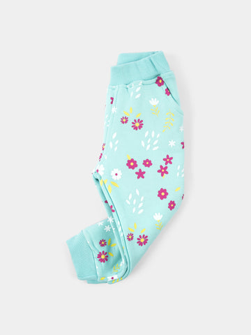 PJS25WLNA43170MO1