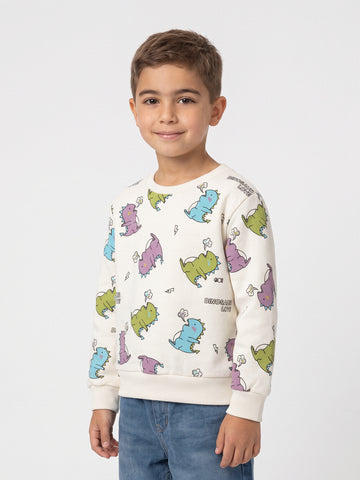 Sweatshirts Boys