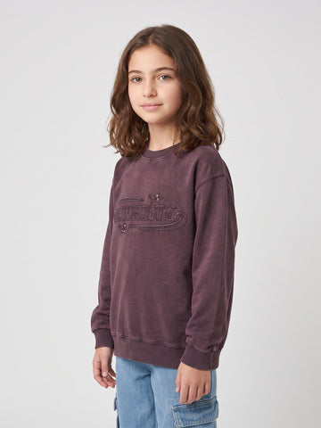 Sweatshirts embroidered