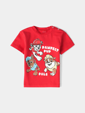 PJS26SSNN80544MN1