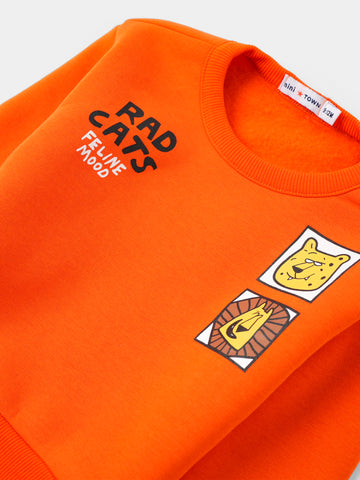 PJS26WLNP80309MN1