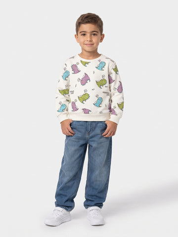 Sweatshirts Boys