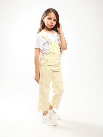 JMP25SMCN43318MG1