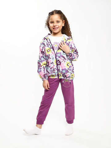 PJS25SDAE43368MG1