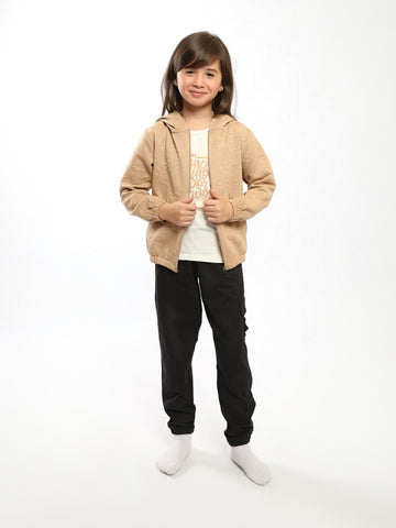 PJS25SDPP43331MG1