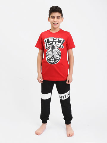 PJS25SPNN76671MB1