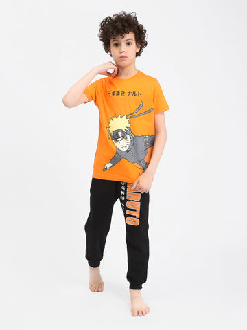PJS25SPNN76672MB1