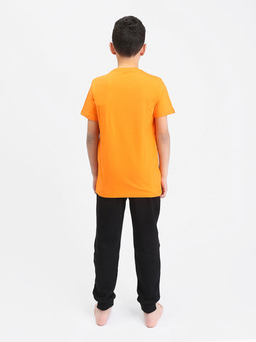 PJS25SPNN76672MJ1