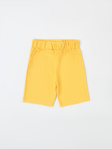 PJS25SSAP80027MN1
