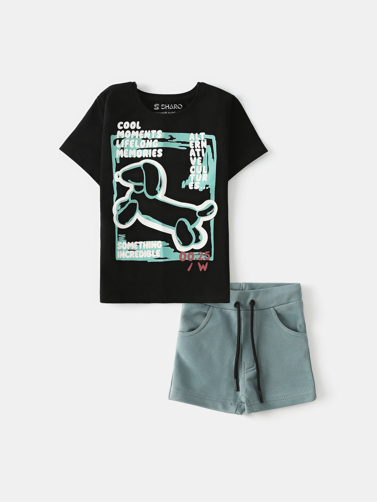 PJS25SSNP43497MN1