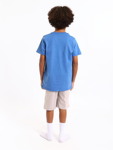 PJS25SSNP77036MJ1