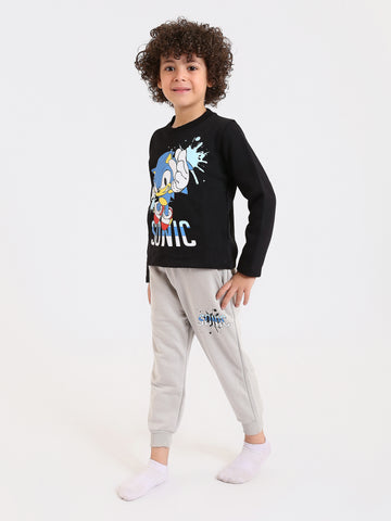 PJS26ALNN77301MB1