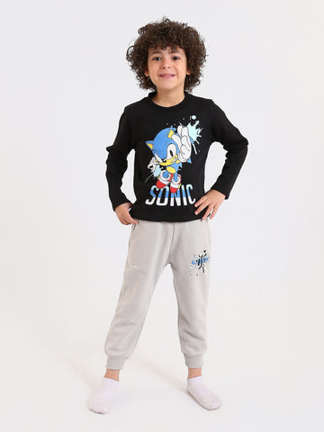 PJS26ALNN77301MB1