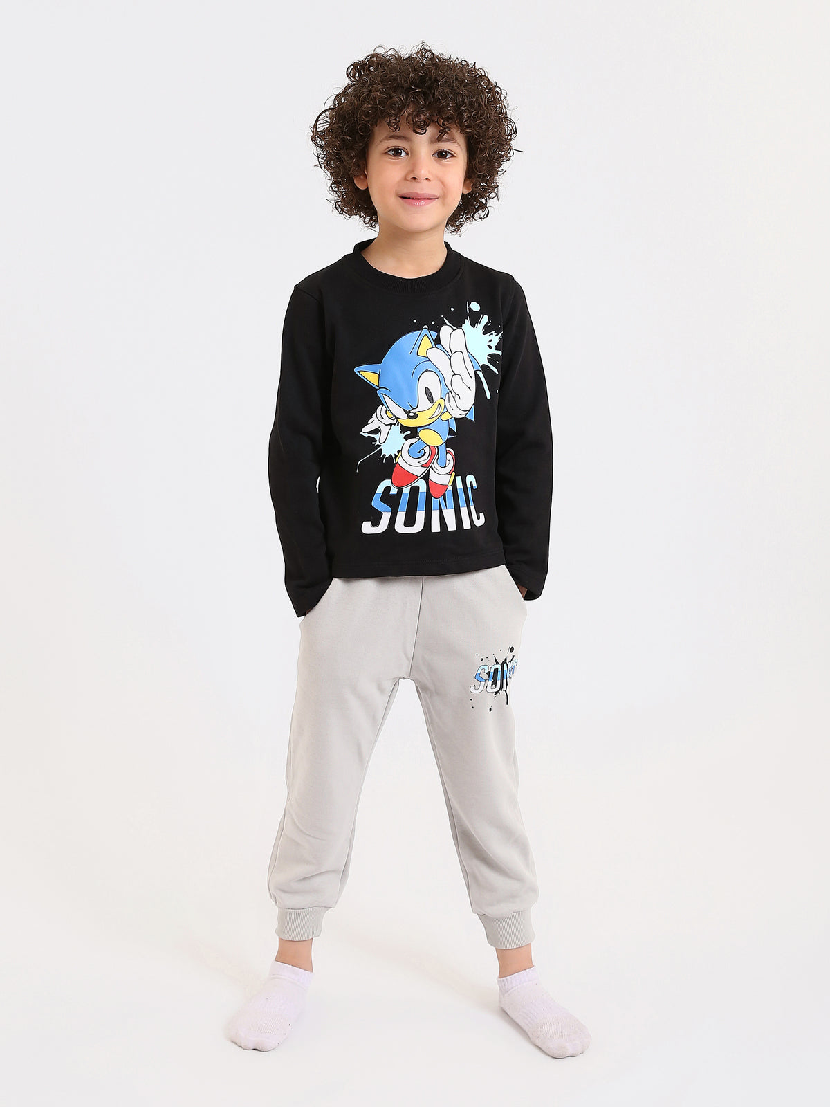 PJS26ALNN77301MB1