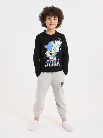PJS26ALNN77301MB1