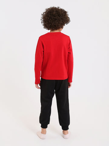 PJS26ALNN77301MB1