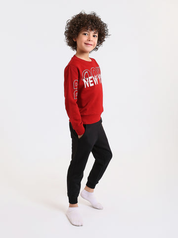 PJS26ALNN77302MB1