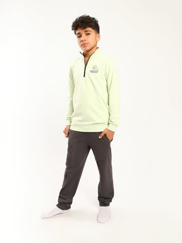 PJS26ALNP77616MJ1
