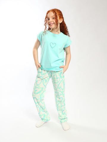 PJS26S39700046MR1