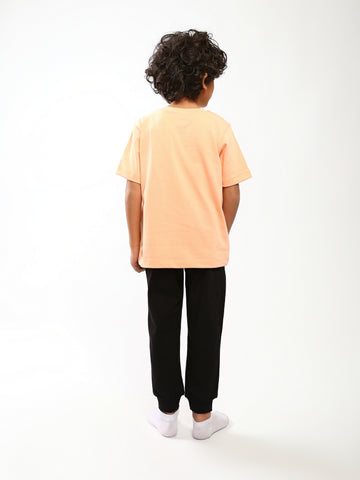 PJS26SPNP78093MB1