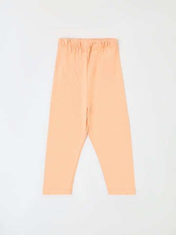 PJS26SPNP80569MO1