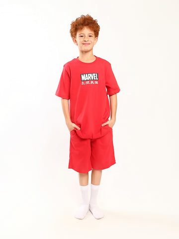 PJS26SSNP78096MB1