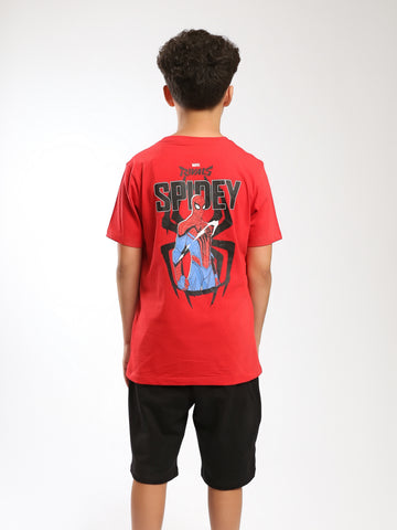 PJS26SSNP78173MJ1