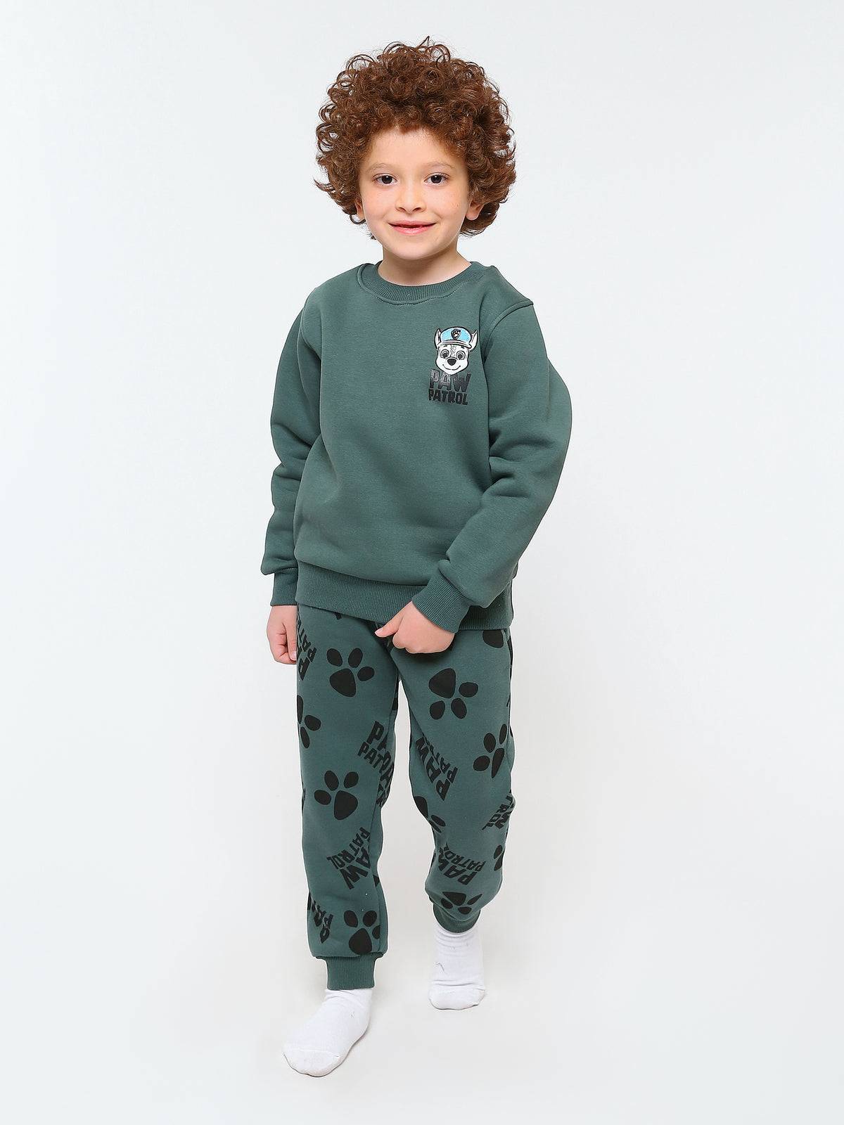 PJS26WLNN77313MB1