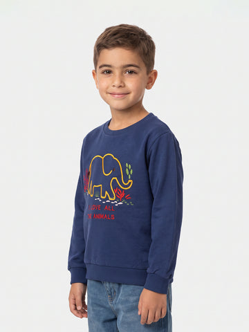 Sweatshirts Boys